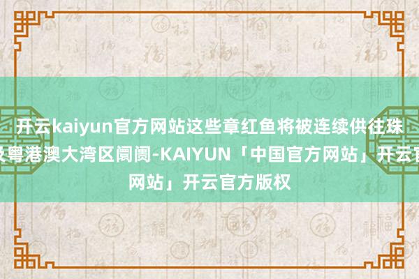 开云kaiyun官方网站这些章红鱼将被连续供往珠海腹地及粤港澳大湾区阛阓-KAIYUN「中国官方网站」开云官方版权